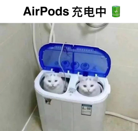 每日网图分享